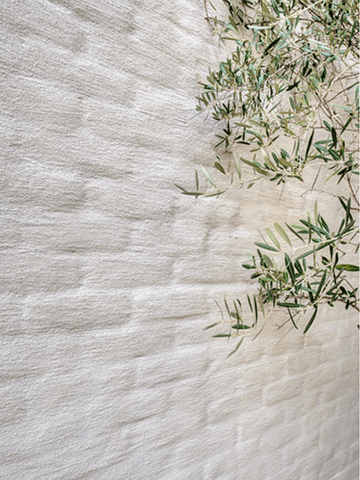 Color Slurry Lime Slurry | Color Atelier Paint & Plaster