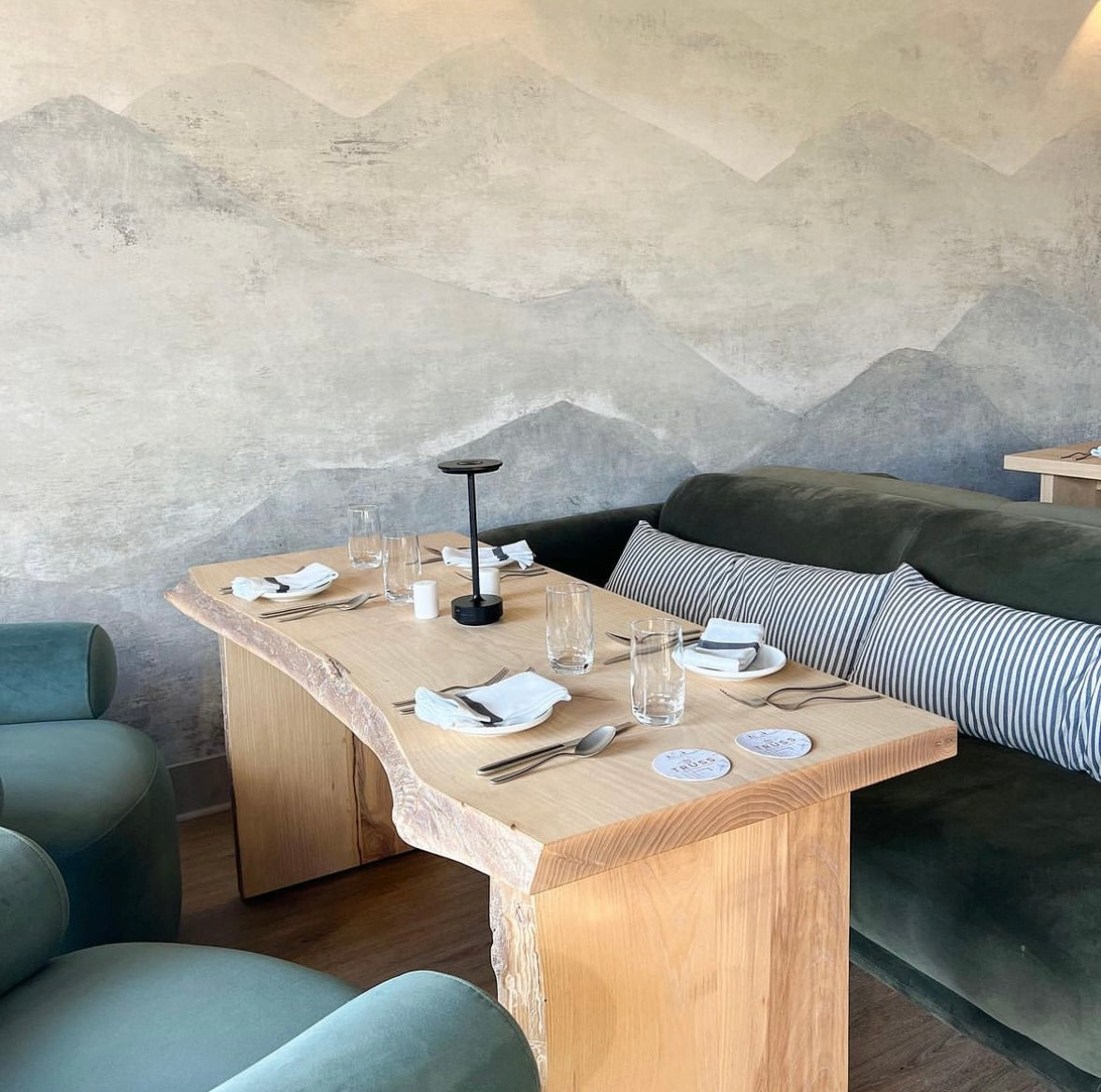 Color Atelier Limewash Plaster Commercial Project Gallery