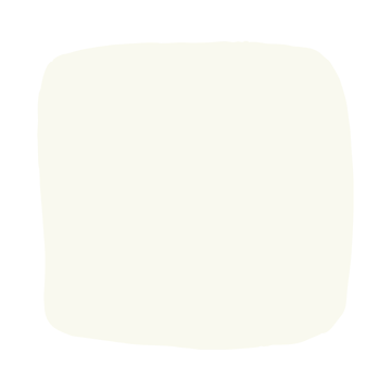 Color Atelier | Lime Wash Paint | Lait