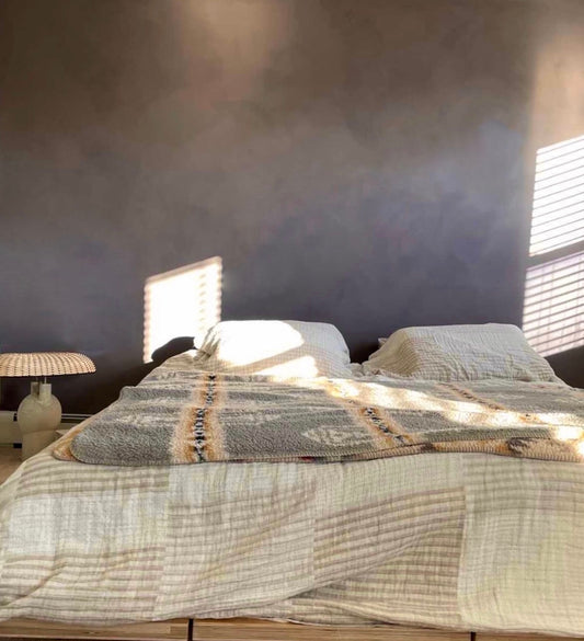 Color Atelier Lime Wash Paint Plume