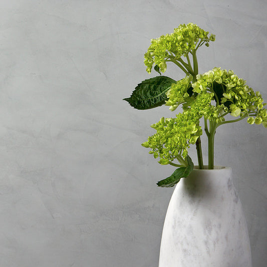 Lime Plaster, Smooth Polished Color Atelier Paint & Plaster